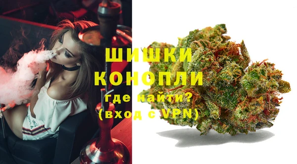 PSILOCYBIN Беломорск