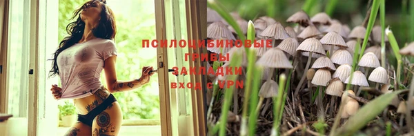 первитин Белокуриха