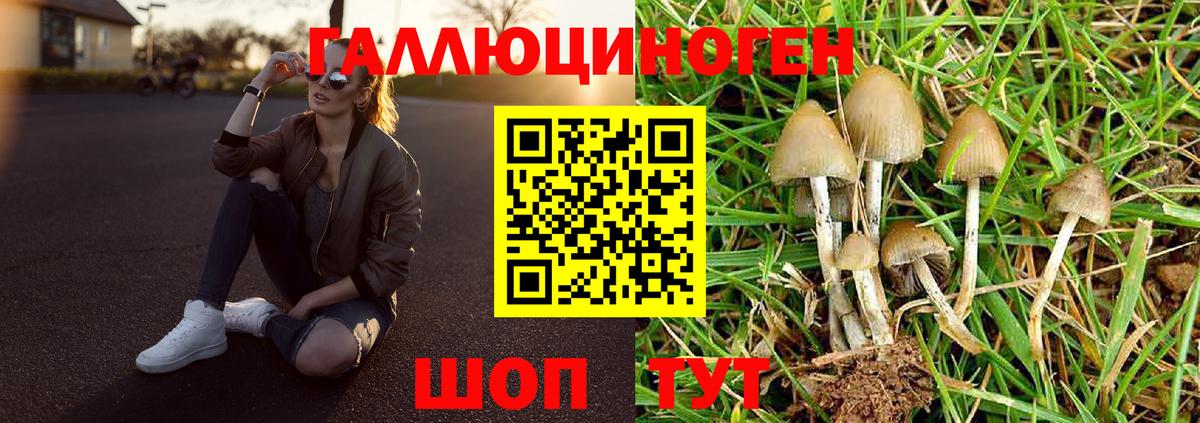 Галлюциногенные грибы мухоморы Заречный