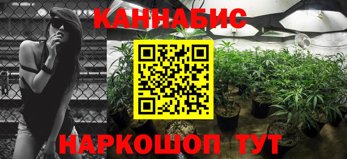 Конопля индика  МАРИХУАНА гибрид  Вход с VPN  Заречный  Марихуана SATIVA & INDICA 